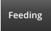 Feeding