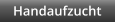 Handaufzucht