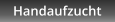 Handaufzucht